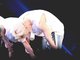 Filename=DkZGj_xU4AEt8eC.jpg
Filesize=70KiB
Dimensions=1200x799
Date added=Jun 09, 2019 DkZGj_xU4AEt8eC.jpg